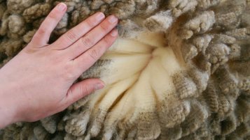 vlna merino vlna merino